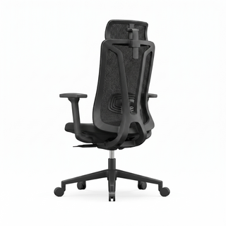 Pro Mesh Office Chair — rear lumbar frame