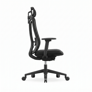 Pro Mesh Office Chair — side profile