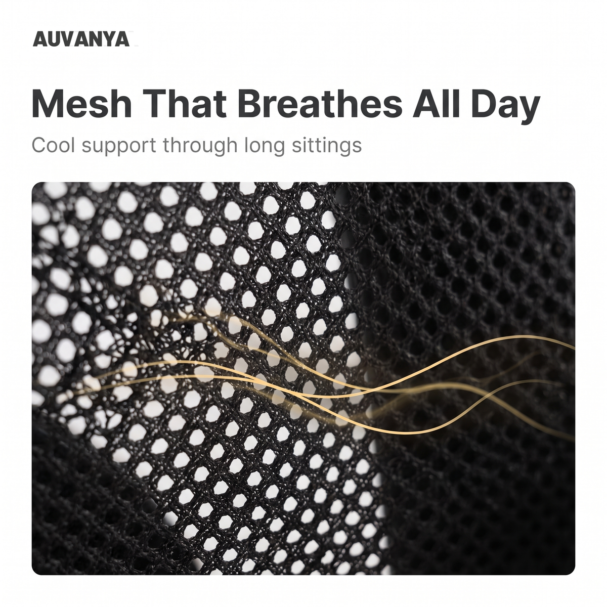 Pro Mesh Office Chair — mesh that breathes all day